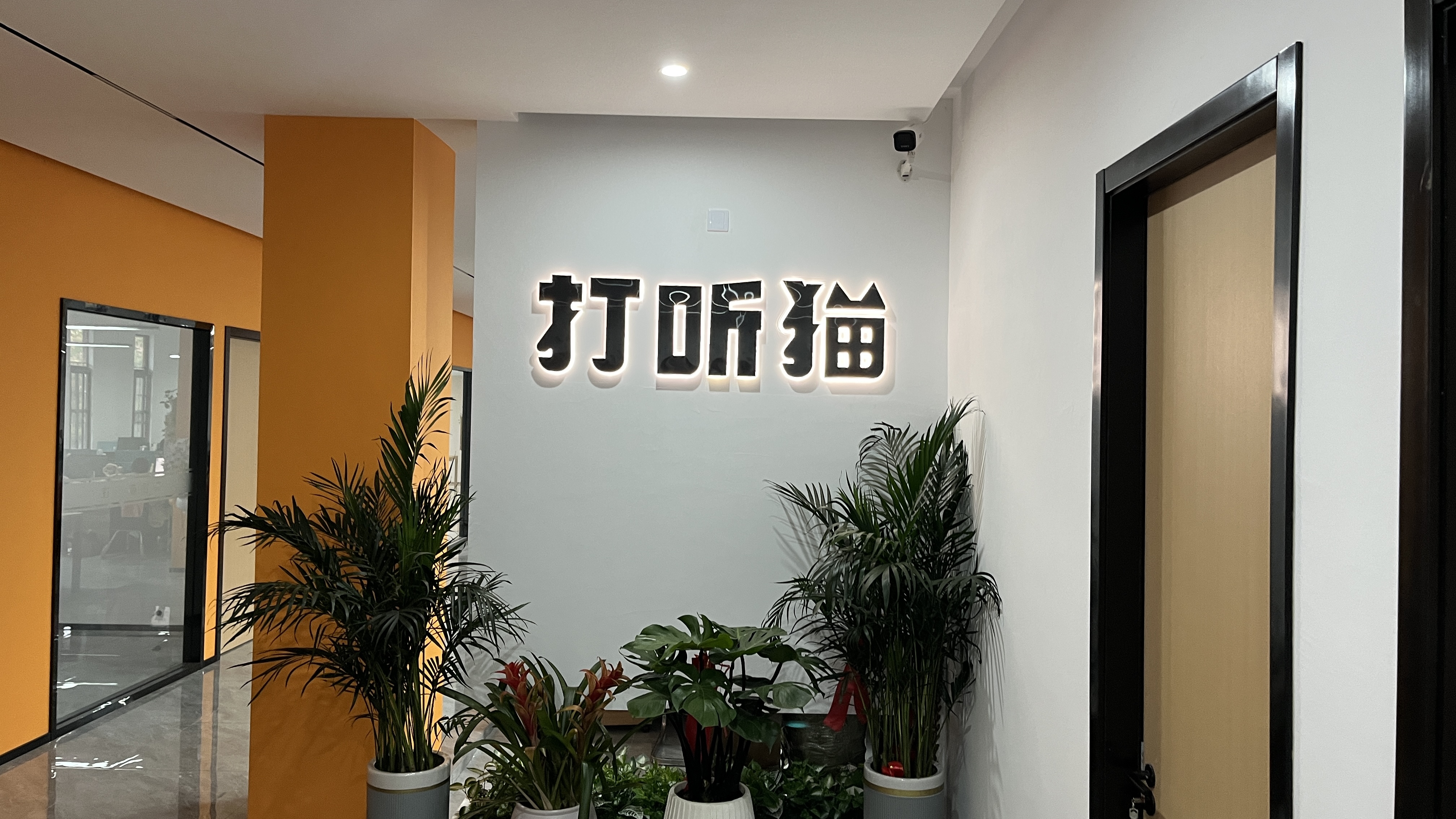 公司简介